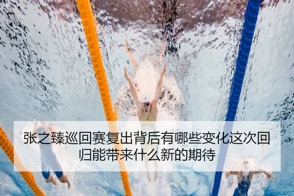 张之臻巡回赛复出背后有哪些变化这次回归能带来什么新的期待